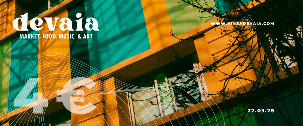 imagen de la entrada general en versión movil